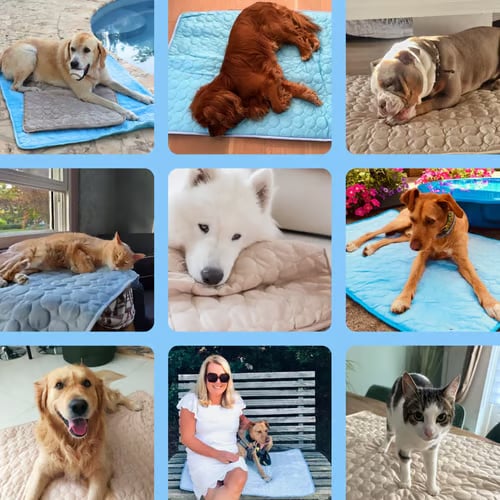 Dog Cooling Mat (4x more effective) - Image 2