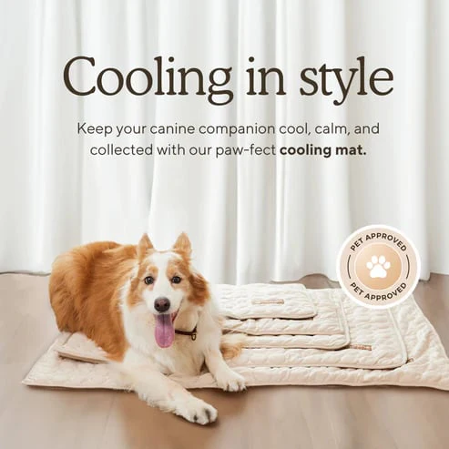 Dog Cooling Mat (4x more effective) - Image 5