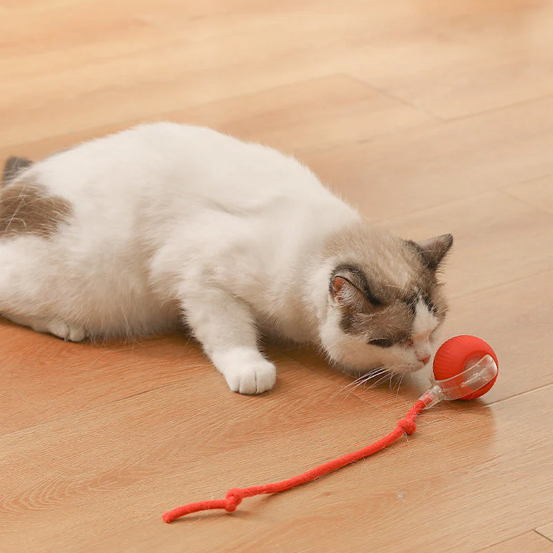 💥Buy 2 Get 1 Free🐱🐶Smart Automatic Rolling Pet Ball - Image 3