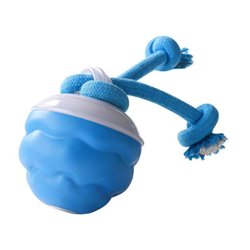 Interactive Electronic Pet Soothing Toy Ball - Image 11