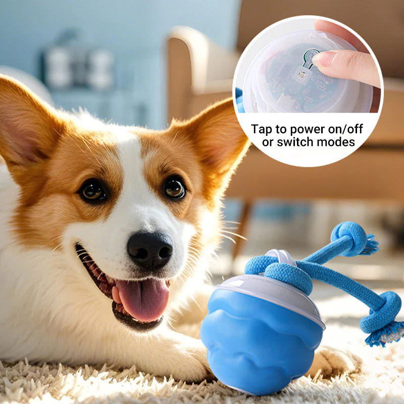 Interactive Electronic Pet Soothing Toy Ball - Image 6