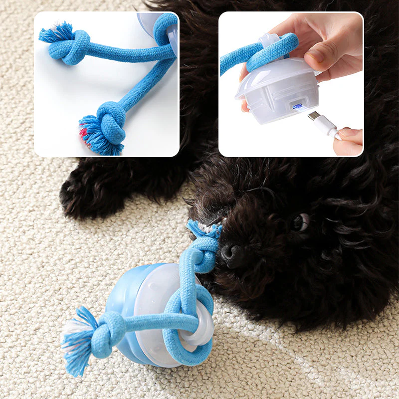 Interactive Electronic Pet Soothing Toy Ball - Image 7