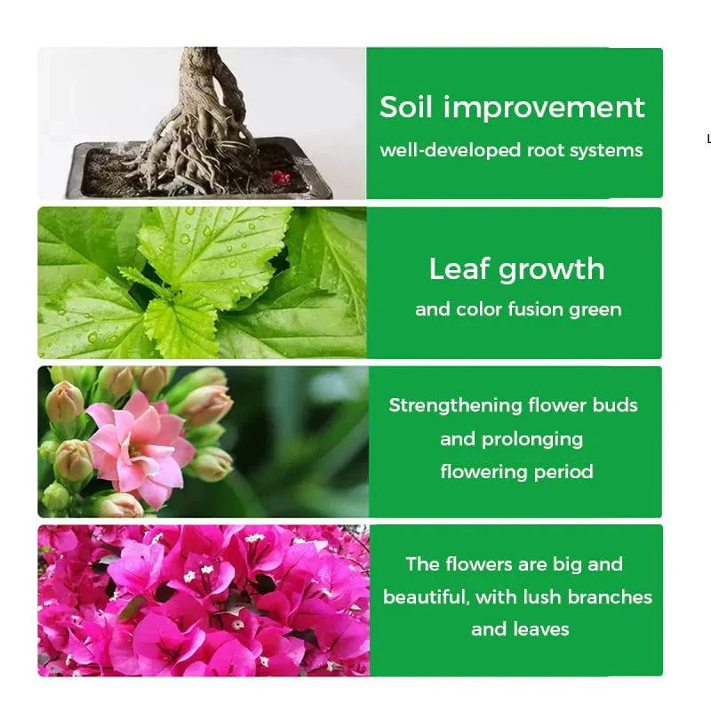 🌱Last Day 49% OFF🔥 - Rapid Bloom Booster Powder | Fast Root Growth + Bigger Flowers!🌸 - Image 5
